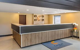 Comfort Inn Lakeshore